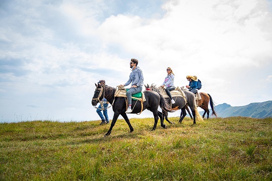 A group of tourists enjoying the horseback riding, Bjelasica mountain.